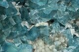 Cubic, Blue-Green Fluorite Crystals on Druzy Quartz - Fluorescent #185464-5